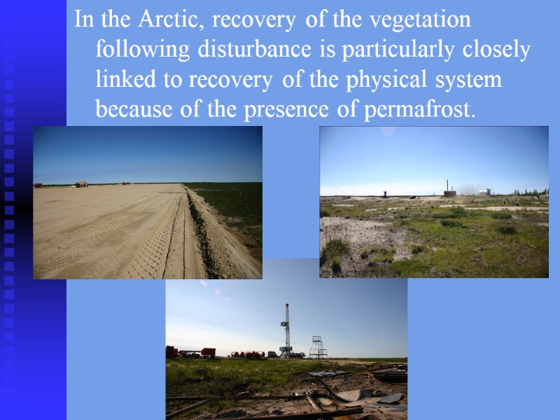 In the Arctic, recovery of the vegetation following disturbance is particularly closely linked to